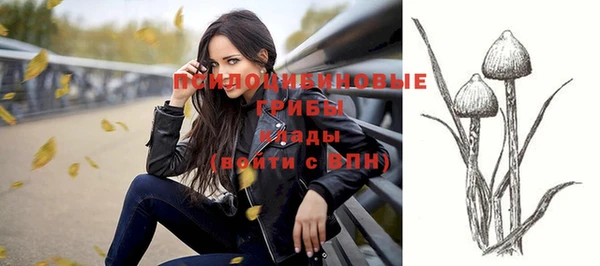 дмт Верхний Тагил