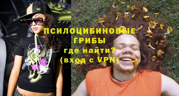 apvp Рославль