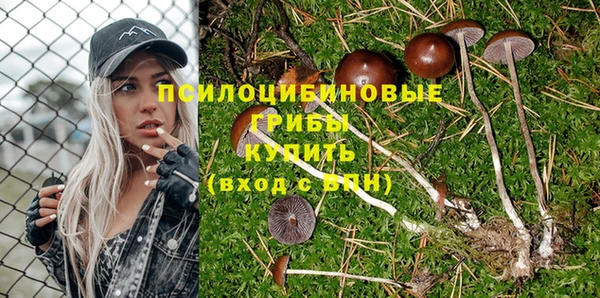 каннабис Бородино