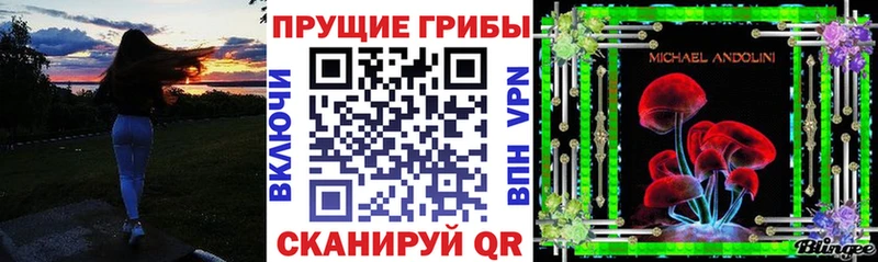 Галлюциногенные грибы Psilocybe  Севск 